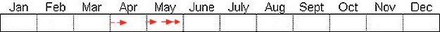 Seasonal status from Fraser Valley Birding records